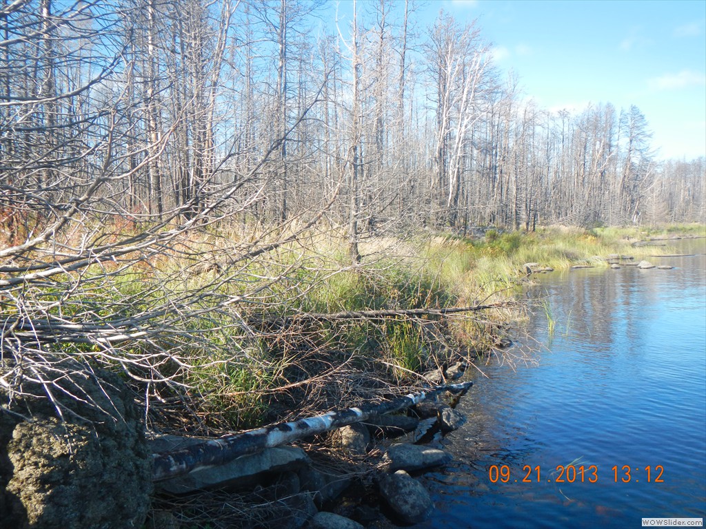DSCN0053
